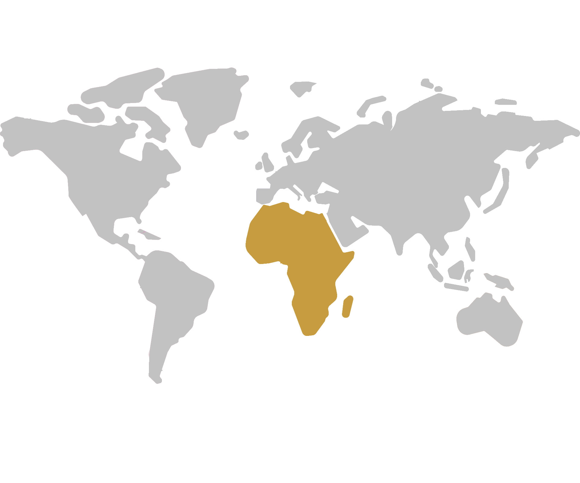 Авторизованные дистрибьюторы в Африке